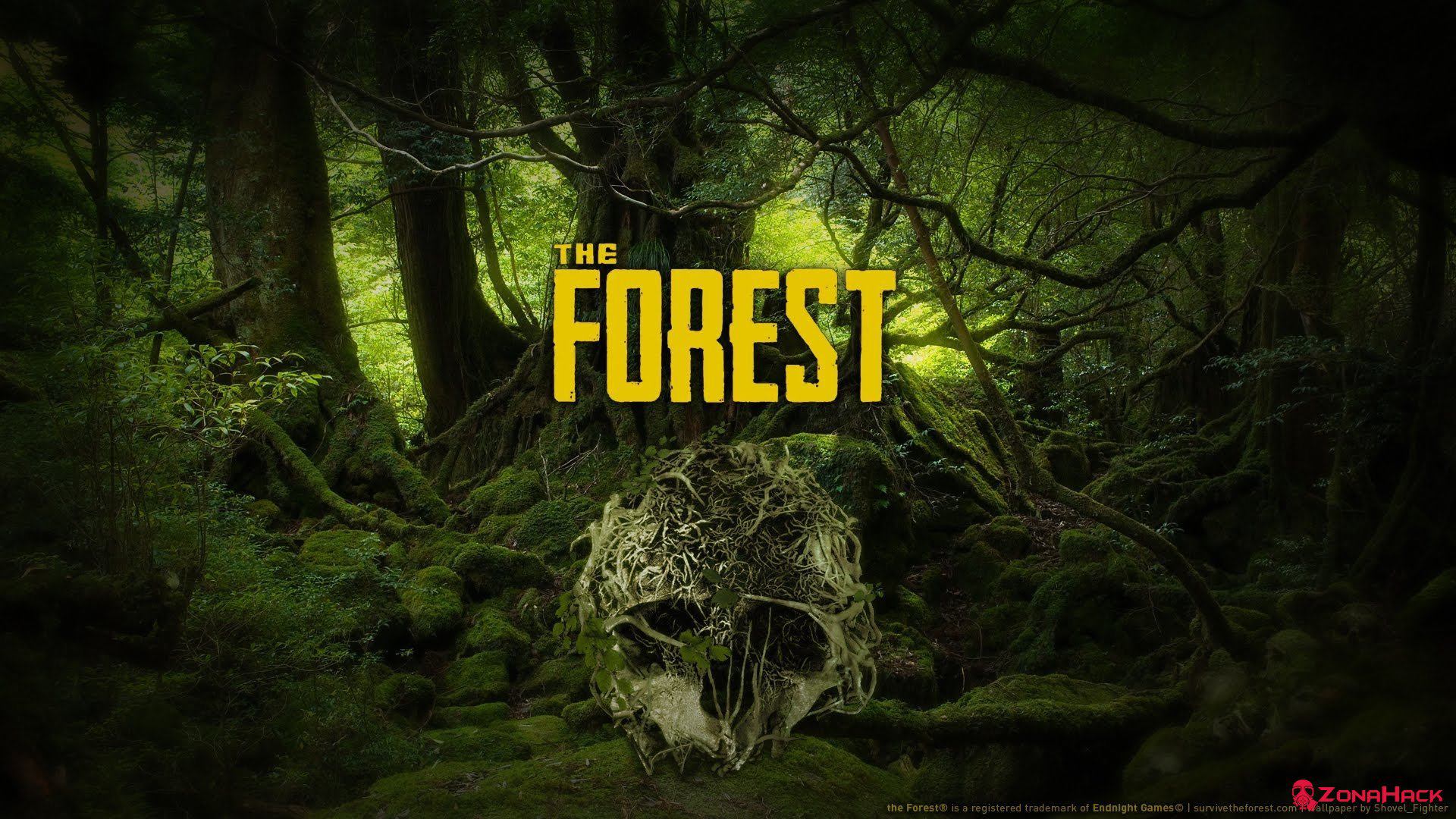 The Forest: Руководство запуска по сети