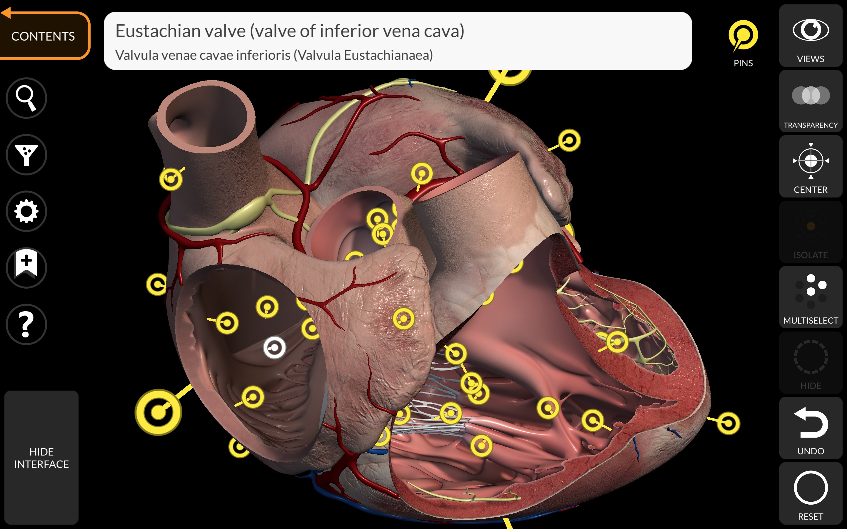 Взломанная версия anatomy. Анатомия 3d атлас приложение.